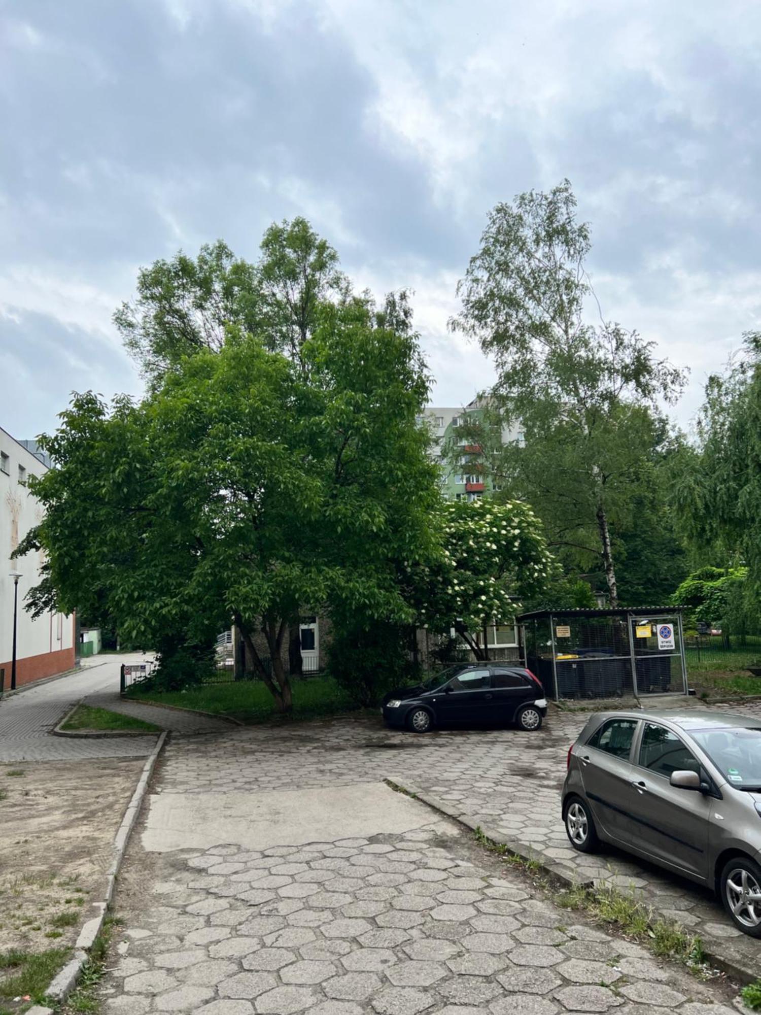 Apartment Kopernik